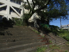 旧板橋区立向原中学校