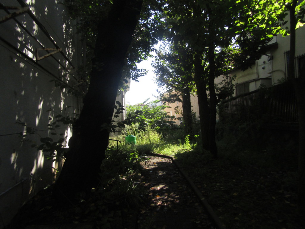 旧板橋区立向原中学校