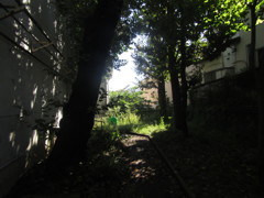 旧板橋区立向原中学校