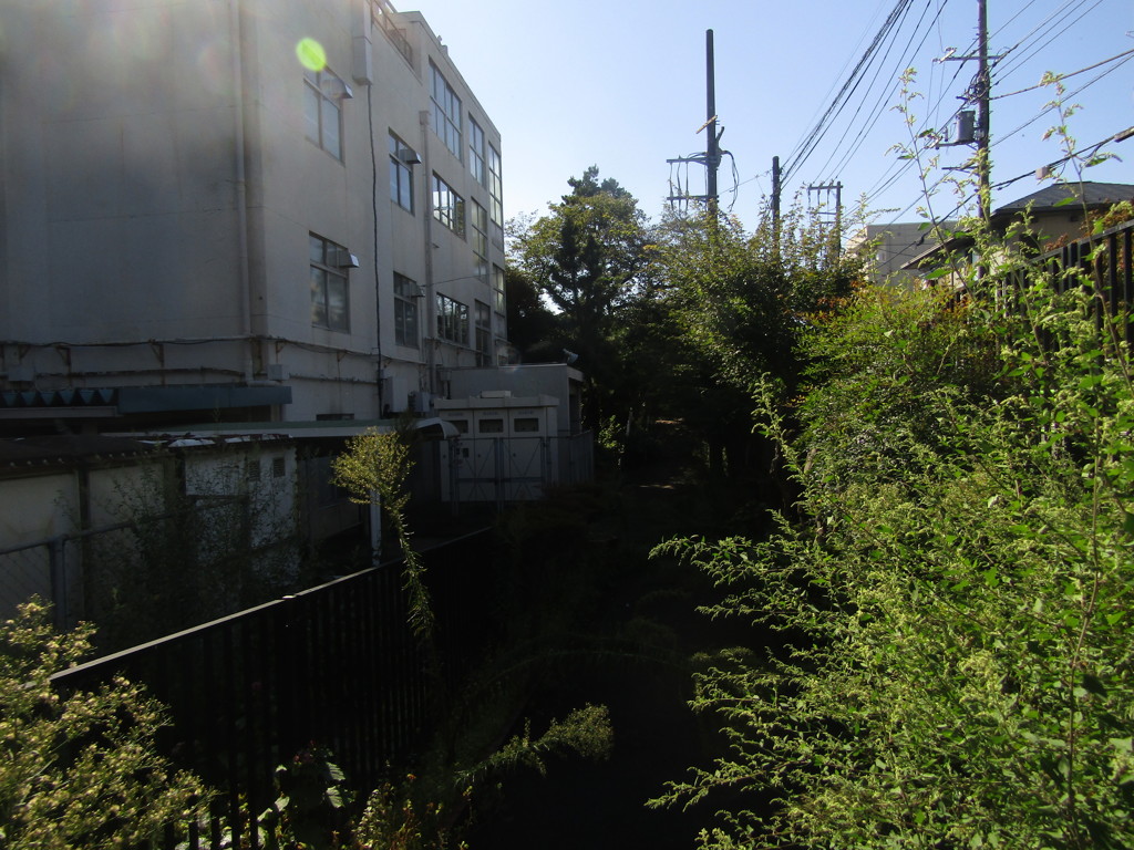 旧板橋区立向原中学校