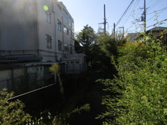 旧板橋区立向原中学校