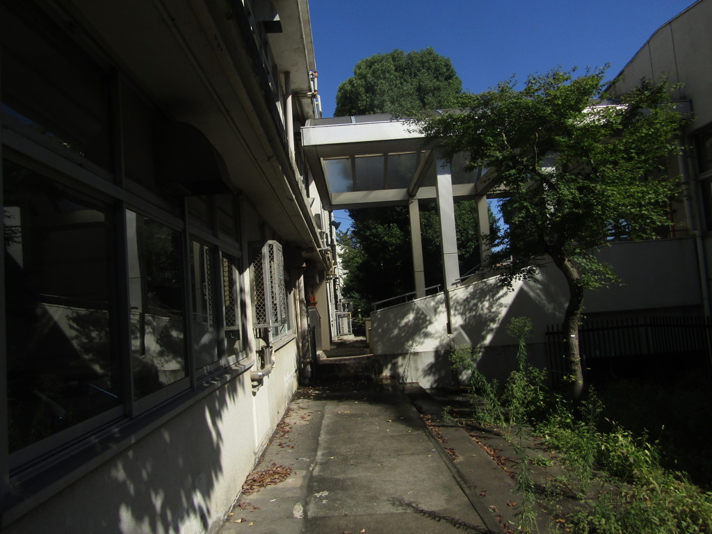 旧板橋区立向原中学校