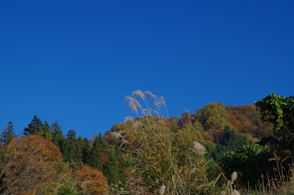 山の秋