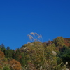 山の秋