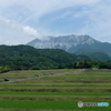 中国山地の王者