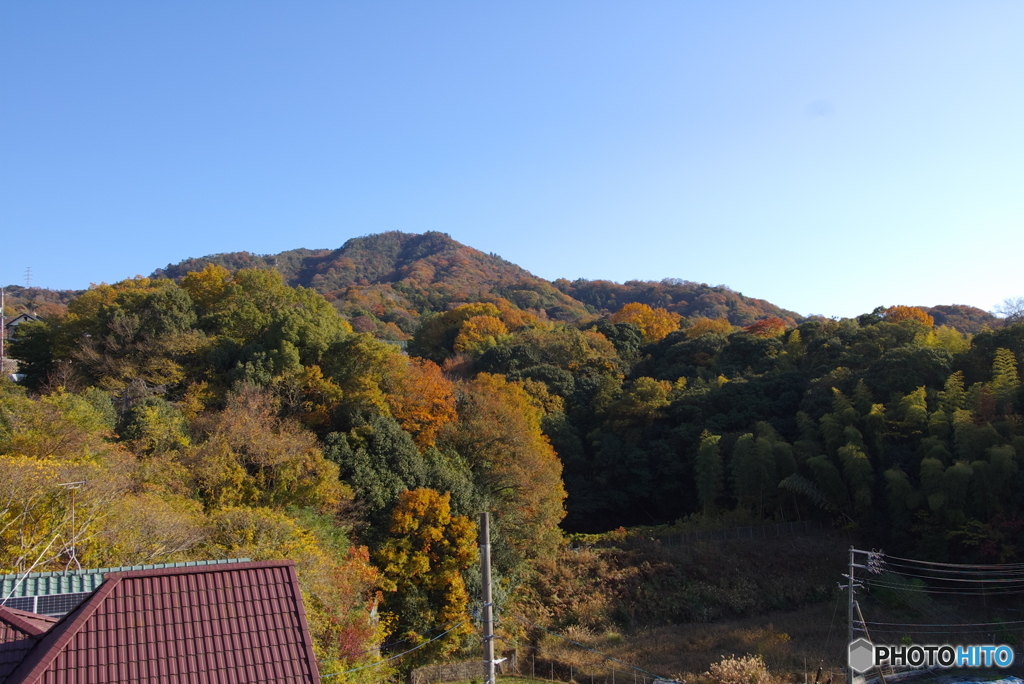 ベランダから見える晩秋