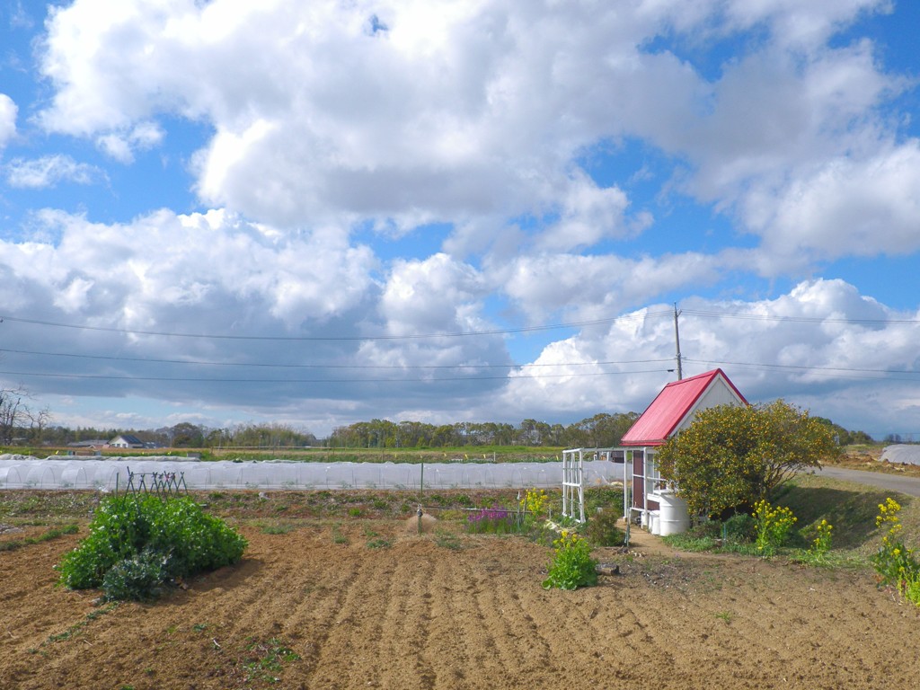 和み農風景