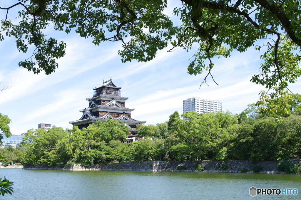 鯉城