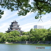鯉城