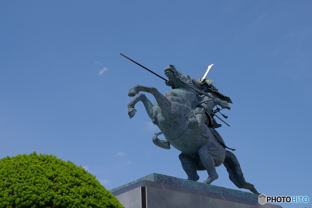 鮭様