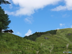 緑と青の清涼