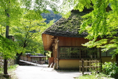 平成３０年 晩夏