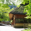 平成３０年 晩夏