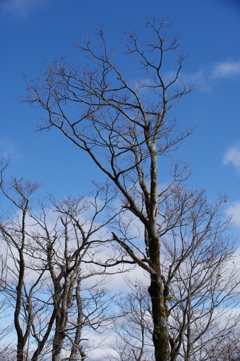 寒空