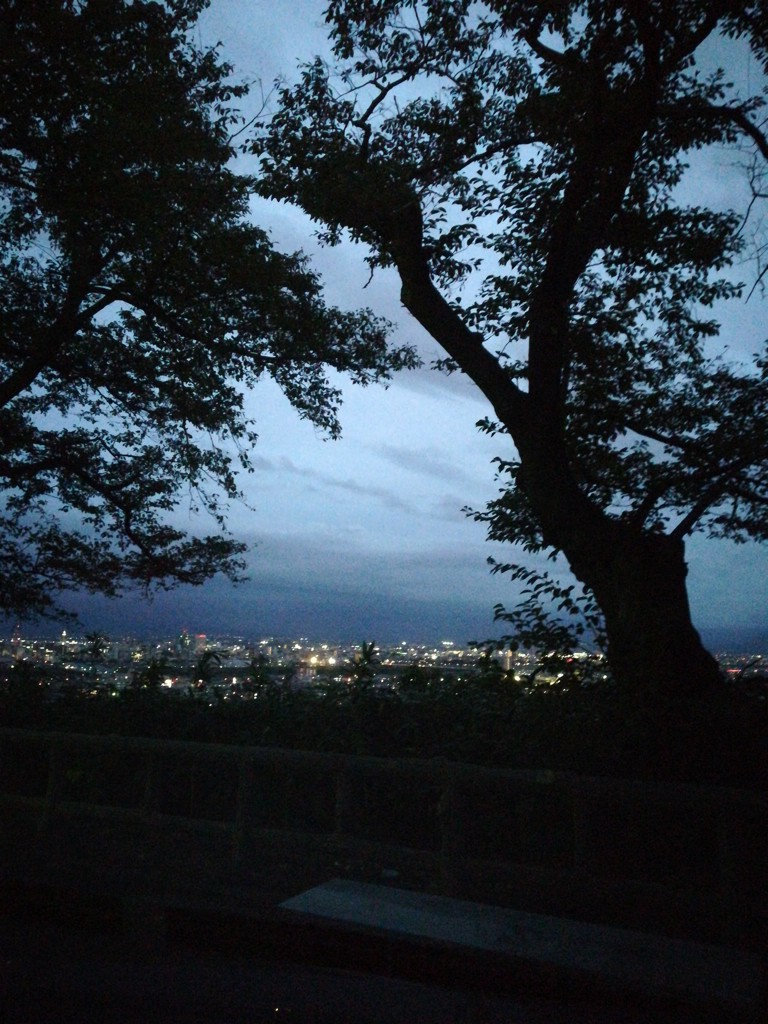 夜がくる前