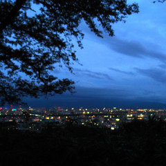 夜景