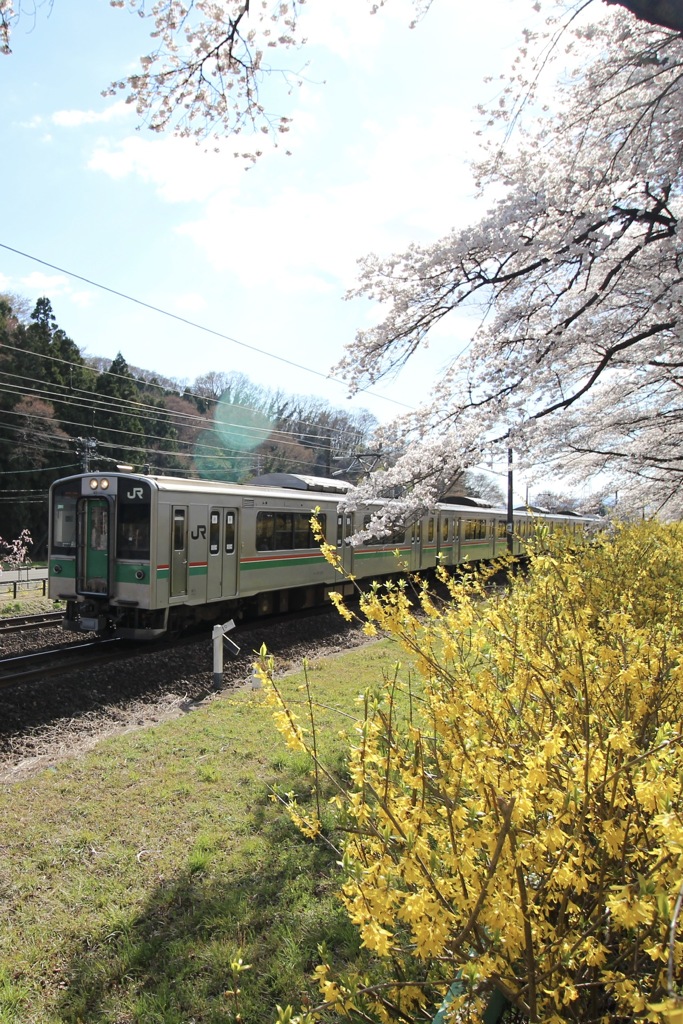 旅をしたい季節