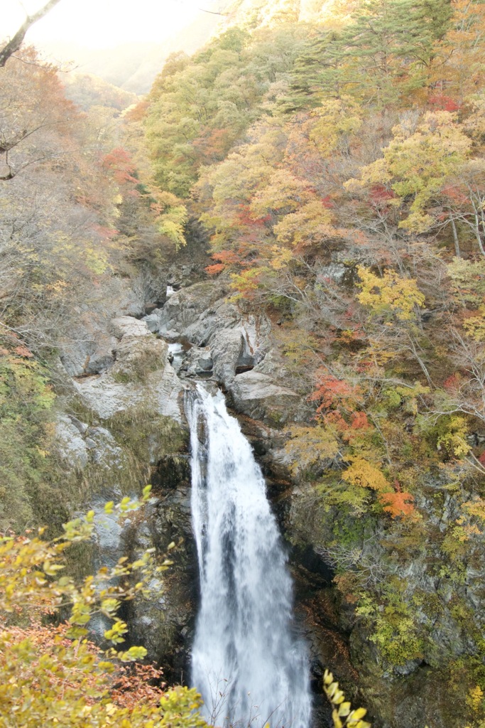 秋保大滝（上から）