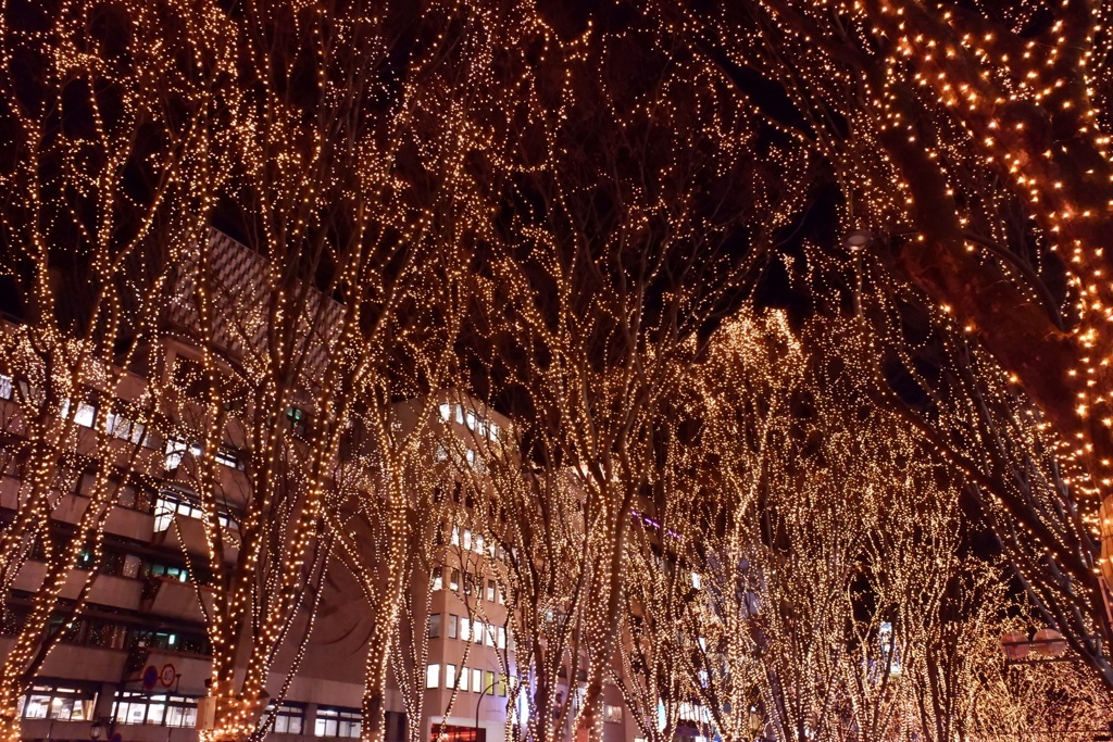 仙台 光のページェント