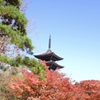 定義山にて
