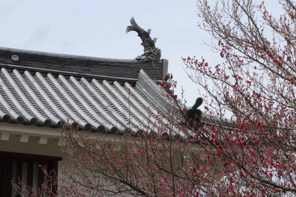 白石城 大手門と梅の花