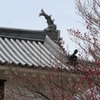 白石城 大手門と梅の花