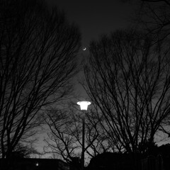 DSC_3901