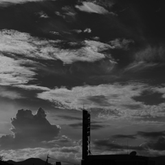 DSC_1098