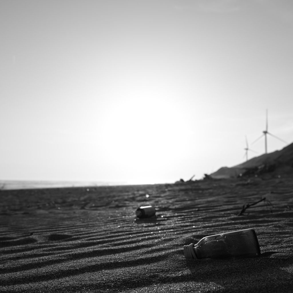 DSC_0620