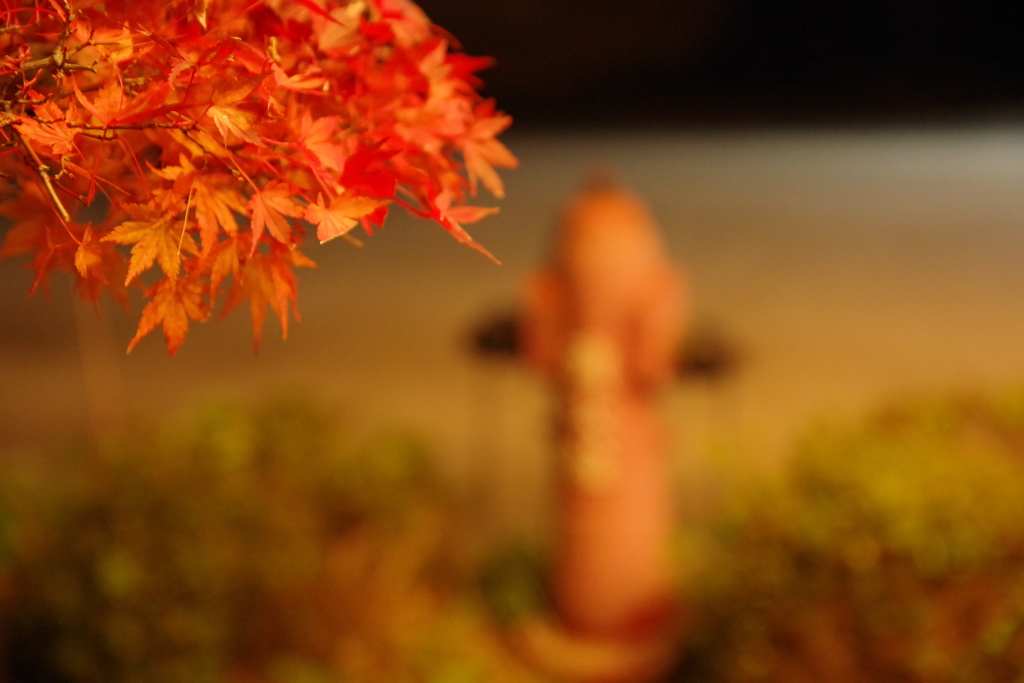 紅と赤