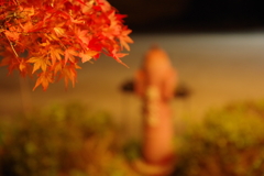 紅と赤