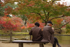 語らずとも・・・