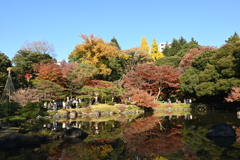 人と紅葉と水