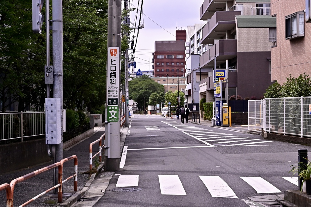 通り道