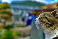風を詠む