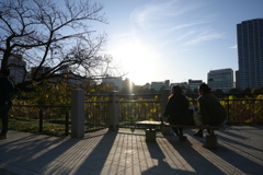 散歩路