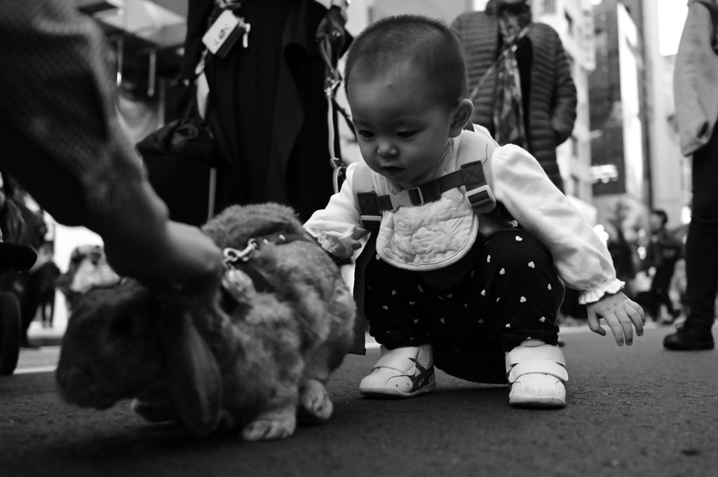 うさぎと赤ん坊