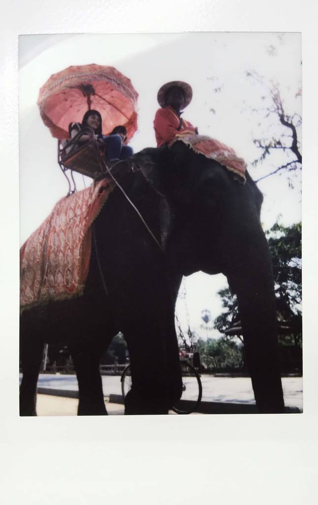 象に乗る観光客