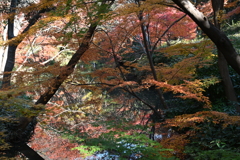 水面