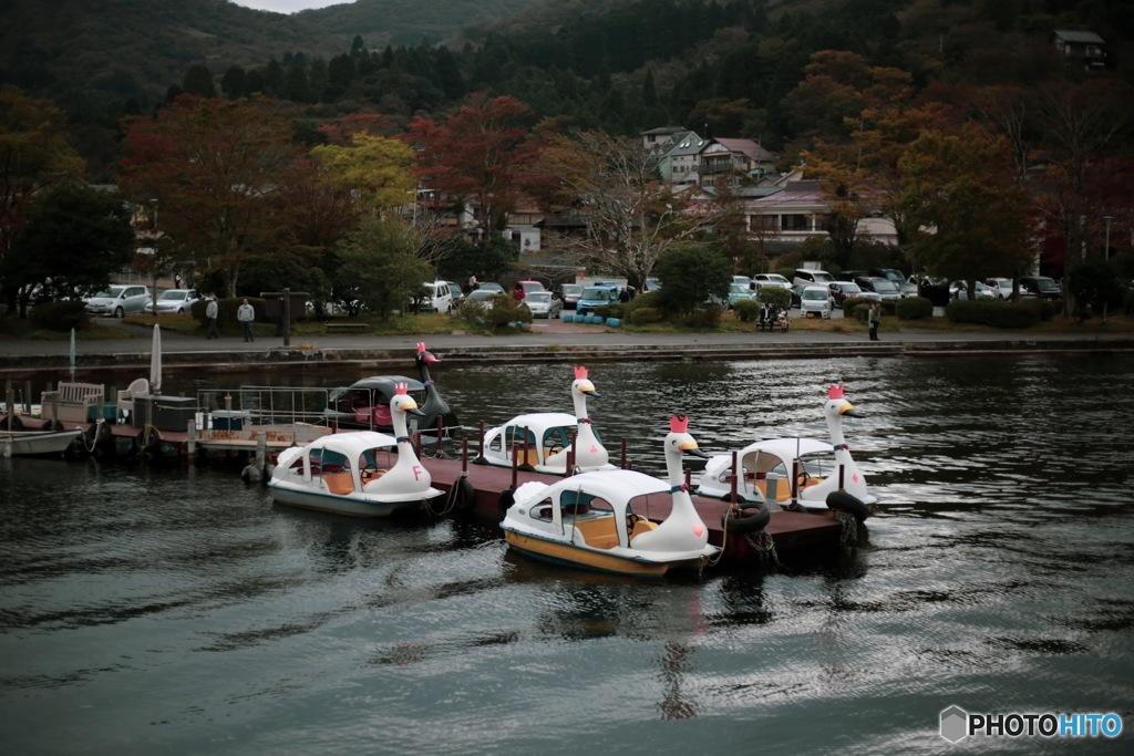 白鳥の湖