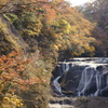 紅葉・袋田の滝