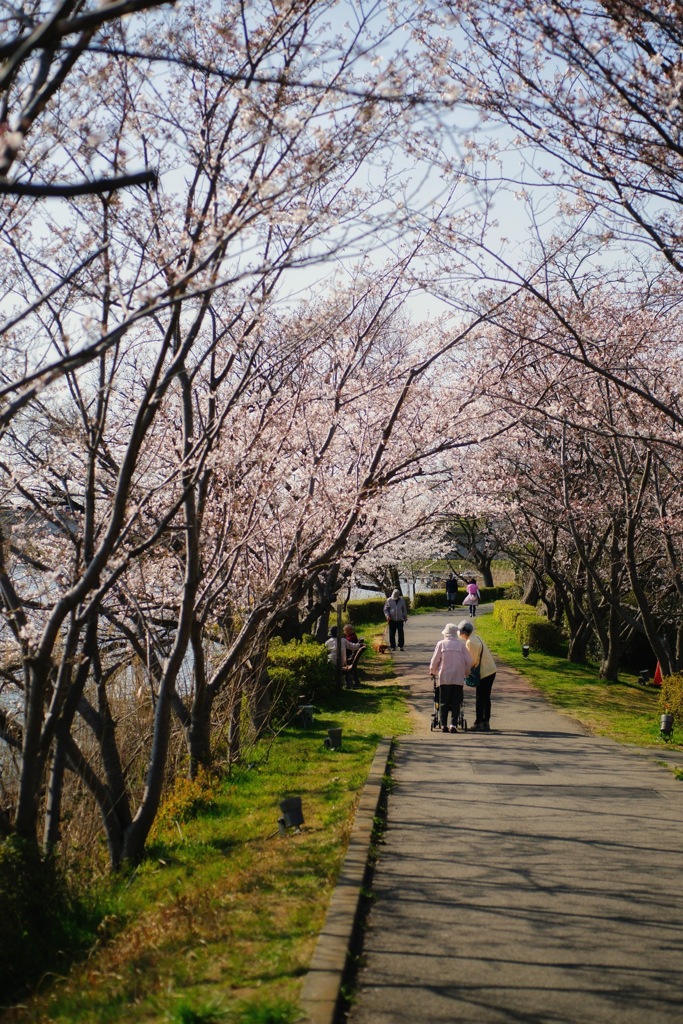 遊歩道
