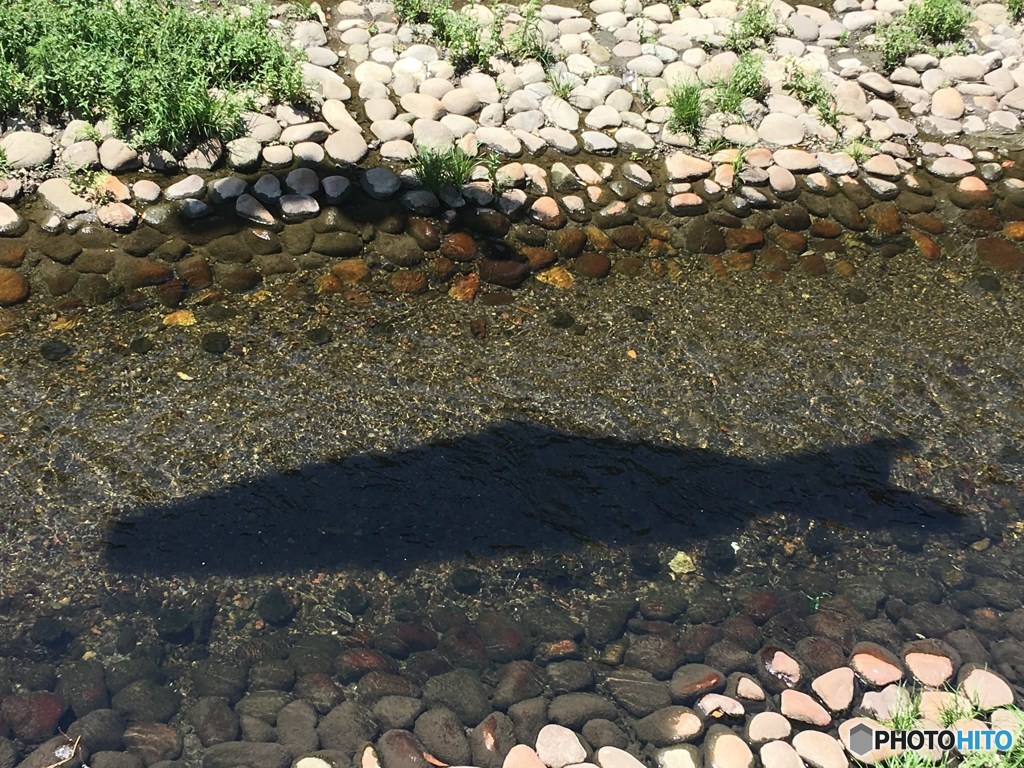 五月五日の巨大魚影