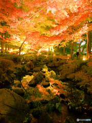 紅葉の銀河