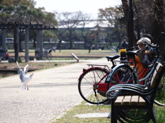 おねだり。