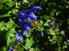 DSCN0155