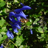 DSCN0155