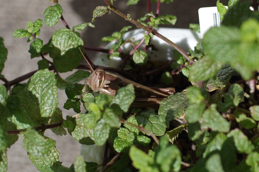 11月、都心のマンション12階。なぜキミはどこから？