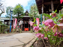 花園稲荷神社