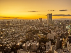 東京タワーでみる夕暮れ